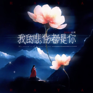 我的悲伤都是你（女声版）