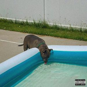 ashes to ashes (feat. Worry Lezz)