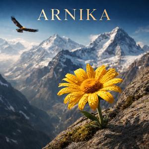Arnika