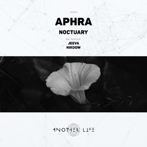 Noctuary