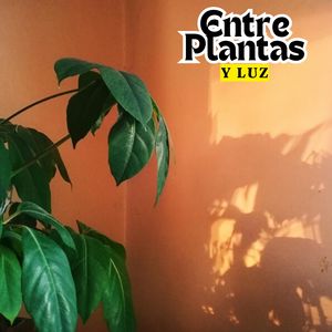 Entre Plantas y Luz