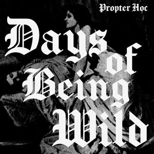 Days of Being Wild