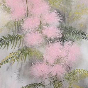 含羞草