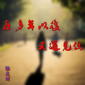在多年以后又遇见你