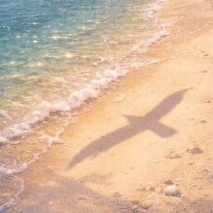 Mocha Driftwood Calm