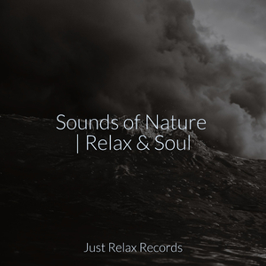 Forgotten Murmurs of Illusion