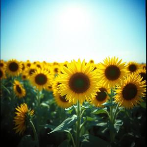 У ритмі кохання