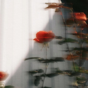 Feeling Falling  微醺R&B