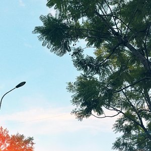 混乱快让我疯掉（摇滚版）