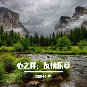 心灵共鸣的音乐友情曲