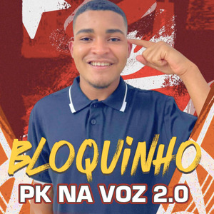 Bloquinho Pk na Voz 2.0
