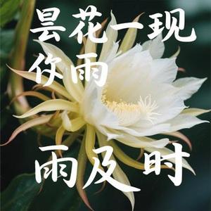 昙花一现雨及时 (Cover 周深 & 郑云龙)