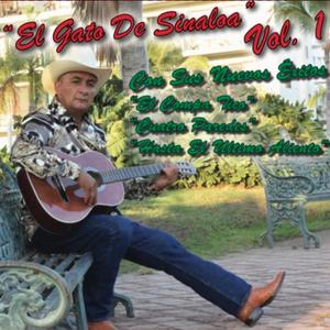 Cielo Azul Cielo Nublado