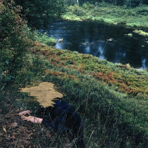 Другое завтра