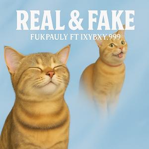 Real & Fake