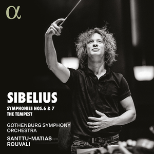 Symphony No. 6 in D Major, Op. 104: II. Allegretto moderato - Poco con moto - Poco a poco meno piano - Tempo I