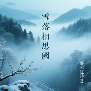 雪落相思阙