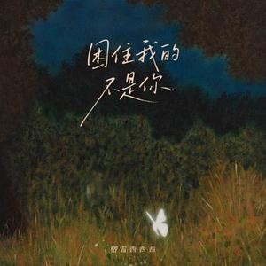 困住我的不是你 (0.9x版)