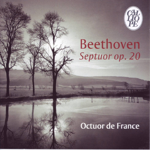 Septuor, Op. 40:IV. Finale - Introduction, andante maestro, allegro moderato