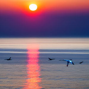 [Free]Lofi Type Beat "余晖"