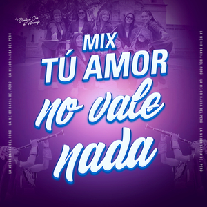 Tu Amor No Vale Nada
