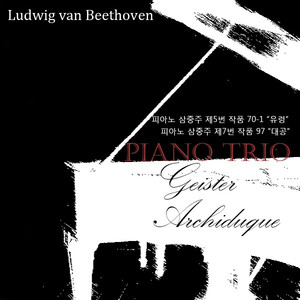 Piano trio No.5 in D major Op.70 No.1 ’Geister‘ 2.Largo assai de espressivo 베토벤：피아노 3중주 제5번 D장조 작품70-1 ‘유령’ 제2악장 라르고 아사이 데 에스프레시보