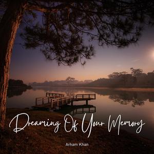 Dreaming of Your Memory