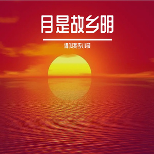 月是故乡的明