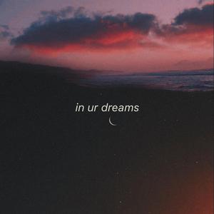 in ur dreams