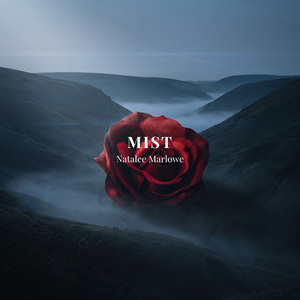 Mist
