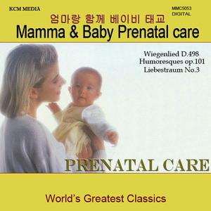 Piano Sonata No.11 in A Major K.331 3.Alla Turca.