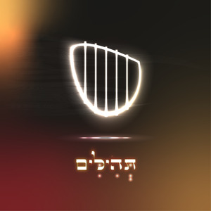 פרקים א׳, ו׳, י״ג, כ׳