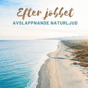 Efter jobbet