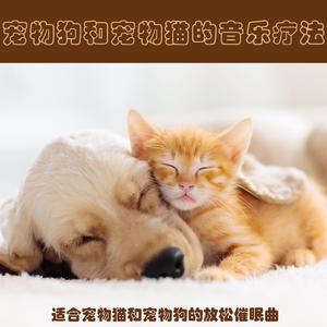 适合缓解下小狗压力的音乐