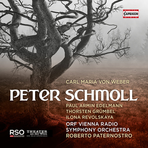 Peter Schmoll und seine Nachbarn, Op. 8, J. 8:Act II: Arie: Hier soll ich sie wiederfinden (Martin Schmoll)