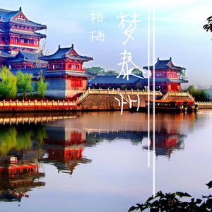 梦泰州(扎心版)