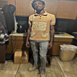 Pussy Grown On Trees