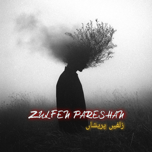 Zulfen Pareshan