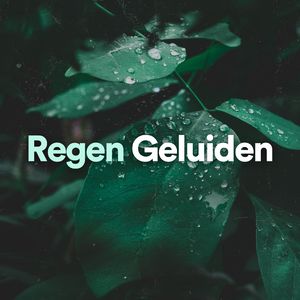 Regen Geluiden, Pt. 9