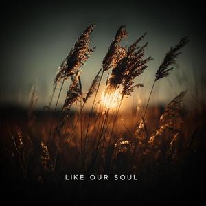 Like Our Soul