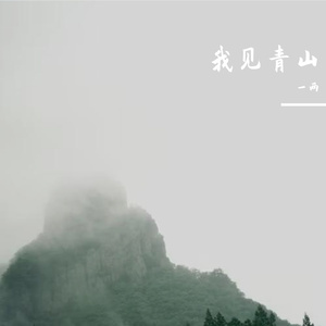 我见青山