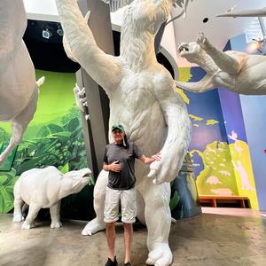 I See You In My Dreams