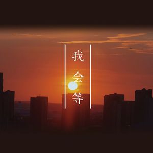 我会等