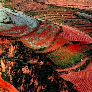 心情不好的时候别为难自己