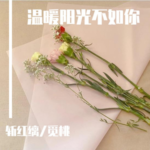 温暖阳光不如你