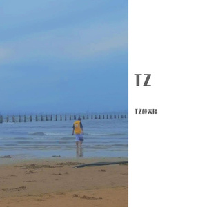 格式转换（Prod.by Flowless）