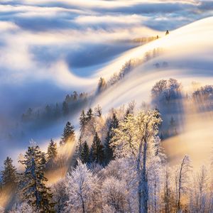 钢琴与白噪音的静谧梦乡