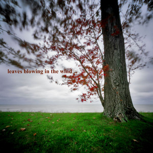 Leaves Blowing in the Wind, Pt. 09