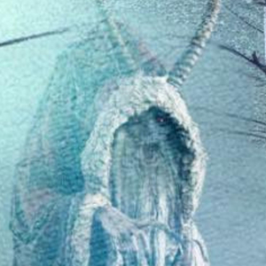 Krampus?