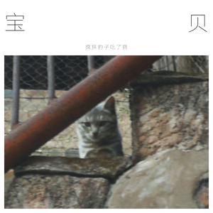 宝贝（Cover 张悬）